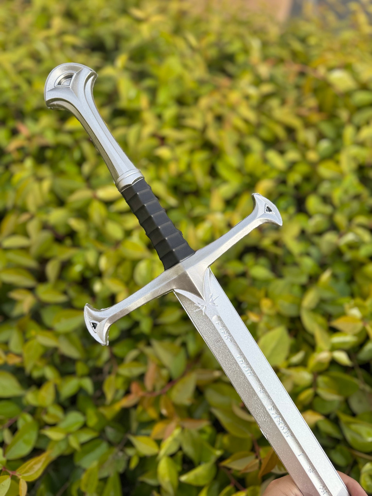 Sword of the True King