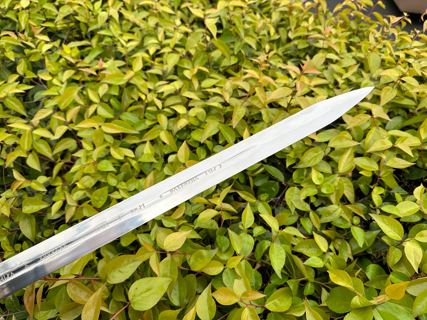 Legendary King’s Sword