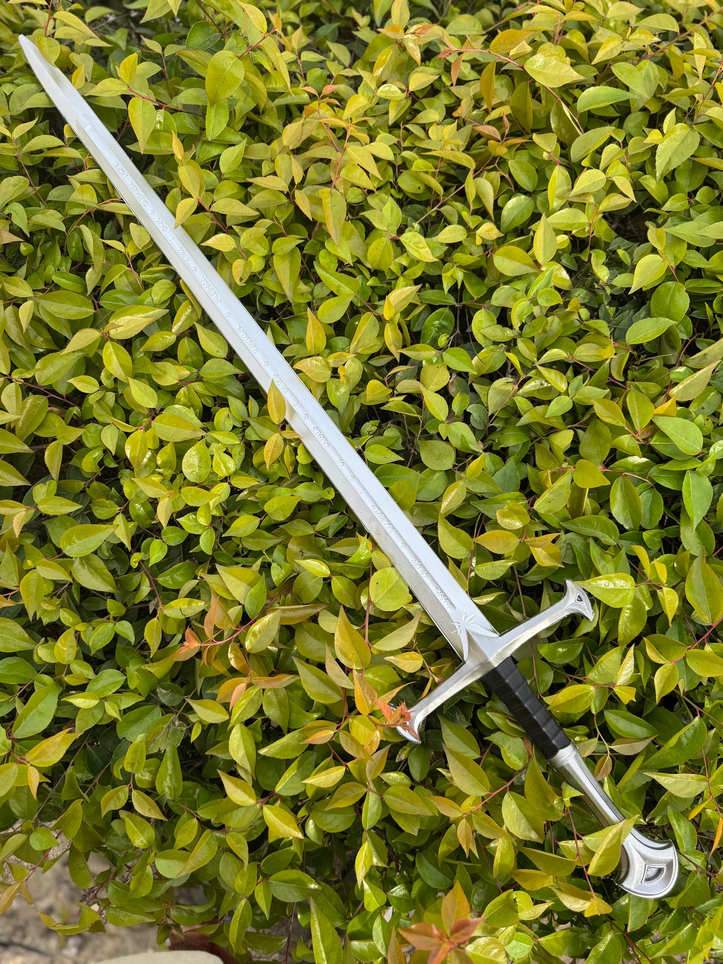 Sword of the True King